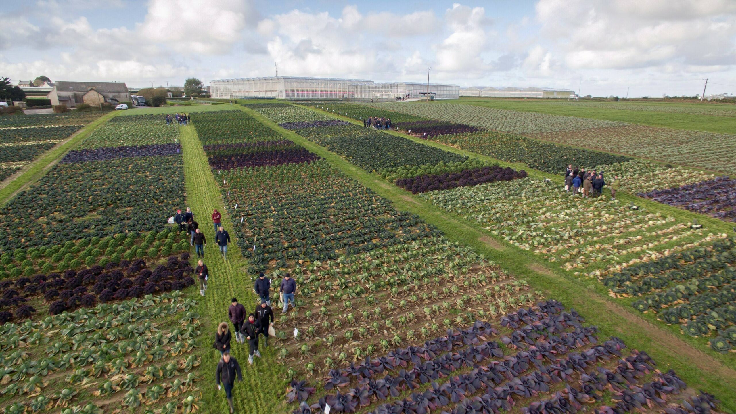 1.- Vista aérea del Campo de Ensayos de Brassicas de Syngenta en Francia|2.- Más de 200 profesionales del sector de las brassicas asistieron al evento|brassicas